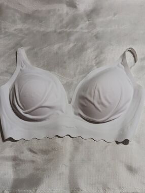 Rhonda Shear White Seamless Molded Cup Bra with Scalloped Edge